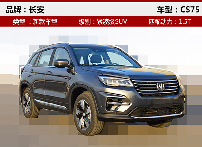 ³³,SUV