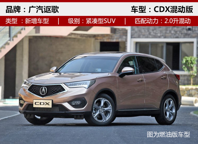³³,SUV