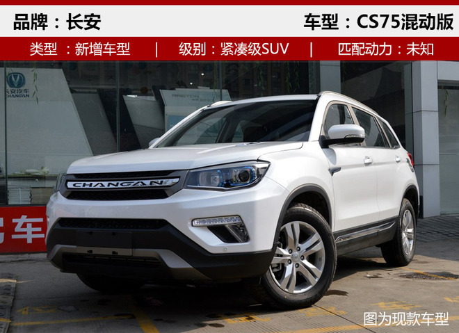 ³³,SUV